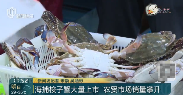 股票配资炒股 价格大跳水！消费者直呼“便宜了”，接下来还要降