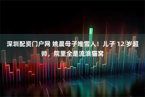 深圳配资门户网 姚晨母子堆雪人！儿子 12 岁超帅，院里全是流浪猫窝